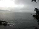 ./images/koeye/fitz-hugh/20211114/fitz-hugh20211114_132001.jpg