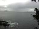 ./images/koeye/fitz-hugh/20211114/fitz-hugh20211114_133501.jpg