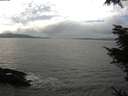 ./images/koeye/fitz-hugh/20211114/fitz-hugh20211114_140501.jpg