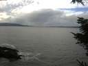 ./images/koeye/fitz-hugh/20211114/fitz-hugh20211114_141001.jpg