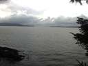 ./images/koeye/fitz-hugh/20211114/fitz-hugh20211114_143002.jpg