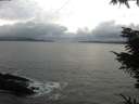./images/koeye/fitz-hugh/20211114/fitz-hugh20211114_143502.jpg