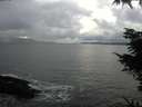 ./images/koeye/fitz-hugh/20211114/fitz-hugh20211114_145002.jpg