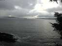 ./images/koeye/fitz-hugh/20211114/fitz-hugh20211114_145502.jpg