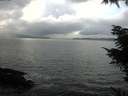 ./images/koeye/fitz-hugh/20211114/fitz-hugh20211114_150002.jpg
