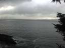 ./images/koeye/fitz-hugh/20211114/fitz-hugh20211114_153002.jpg