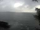 ./images/koeye/fitz-hugh/20211114/fitz-hugh20211114_154001.jpg