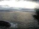 ./images/koeye/fitz-hugh/20211114/fitz-hugh20211114_160501.jpg