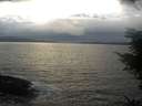 ./images/koeye/fitz-hugh/20211114/fitz-hugh20211114_161001.jpg