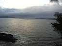 ./images/koeye/fitz-hugh/20211114/fitz-hugh20211114_161501.jpg