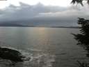 ./images/koeye/fitz-hugh/20211114/fitz-hugh20211114_162501.jpg