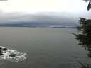 ./images/koeye/fitz-hugh/20211115/fitz-hugh20211115_124001.jpg