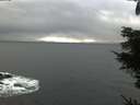 ./images/koeye/fitz-hugh/20211115/fitz-hugh20211115_125001.jpg