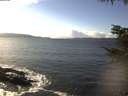 ./images/koeye/fitz-hugh/20211115/fitz-hugh20211115_135002.jpg