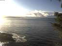 ./images/koeye/fitz-hugh/20211115/fitz-hugh20211115_144002.jpg