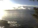 ./images/koeye/fitz-hugh/20211115/fitz-hugh20211115_145002.jpg
