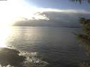 ./images/koeye/fitz-hugh/20211115/fitz-hugh20211115_145502.jpg