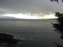 ./images/koeye/fitz-hugh/20211115/fitz-hugh20211115_155001.jpg
