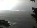 ./images/koeye/fitz-hugh/20211115/fitz-hugh20211115_160501.jpg