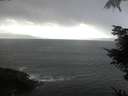 ./images/koeye/fitz-hugh/20211115/fitz-hugh20211115_163501.jpg