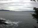 ./images/koeye/fitz-hugh/20211118/fitz-hugh20211118_080001.jpg