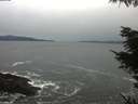 ./images/koeye/fitz-hugh/20220128/fitz-hugh20220128_140002.jpg