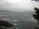 ./images/koeye/fitz-hugh/20220128/fitz-hugh20220128_160001.jpg