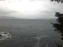 ./images/koeye/fitz-hugh/20220129/fitz-hugh20220129_080002.jpg