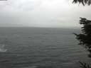 ./images/koeye/fitz-hugh/20220129/fitz-hugh20220129_100001.jpg