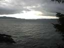./images/koeye/fitz-hugh/20220129/fitz-hugh20220129_140002.jpg