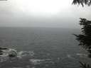 ./images/koeye/fitz-hugh/20220130/fitz-hugh20220130_080002.jpg