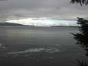 ./images/koeye/fitz-hugh/20220130/fitz-hugh20220130_120002.jpg