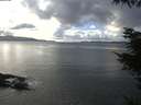 ./images/koeye/fitz-hugh/20220130/fitz-hugh20220130_140001.jpg