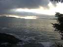 ./images/koeye/fitz-hugh/20220130/fitz-hugh20220130_160002.jpg