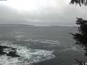 ./images/koeye/fitz-hugh/20220131/fitz-hugh20220131_080002.jpg