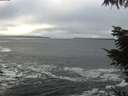 ./images/koeye/fitz-hugh/20220131/fitz-hugh20220131_100001.jpg