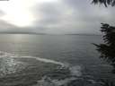 ./images/koeye/fitz-hugh/20220131/fitz-hugh20220131_120001.jpg