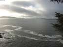 ./images/koeye/fitz-hugh/20220131/fitz-hugh20220131_140002.jpg