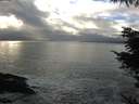 ./images/koeye/fitz-hugh/20220131/fitz-hugh20220131_160001.jpg