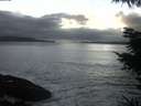 ./images/koeye/fitz-hugh/20220131/fitz-hugh20220131_180002.jpg