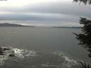 ./images/koeye/fitz-hugh/20220205/fitz-hugh20220205_165502.jpg