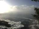 ./images/koeye/fitz-hugh/20220210/fitz-hugh20220210_135001.jpg