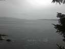 ./images/koeye/fitz-hugh/20220313/fitz-hugh20220313_080002.jpg