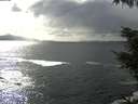 ./images/koeye/fitz-hugh/20220403/fitz-hugh20220403_160002.jpg