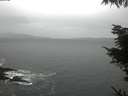 ./images/koeye/fitz-hugh/20220407/fitz-hugh20220407_080002.jpg