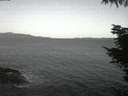 ./images/koeye/fitz-hugh/20220411/fitz-hugh20220411_060002.jpg