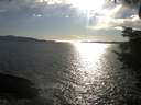 ./images/koeye/fitz-hugh/20220411/fitz-hugh20220411_180002.jpg