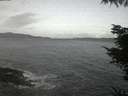 ./images/koeye/fitz-hugh/20220412/fitz-hugh20220412_060002.jpg