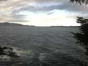./images/koeye/fitz-hugh/20220412/fitz-hugh20220412_080001.jpg