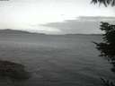./images/koeye/fitz-hugh/20220413/fitz-hugh20220413_060002.jpg